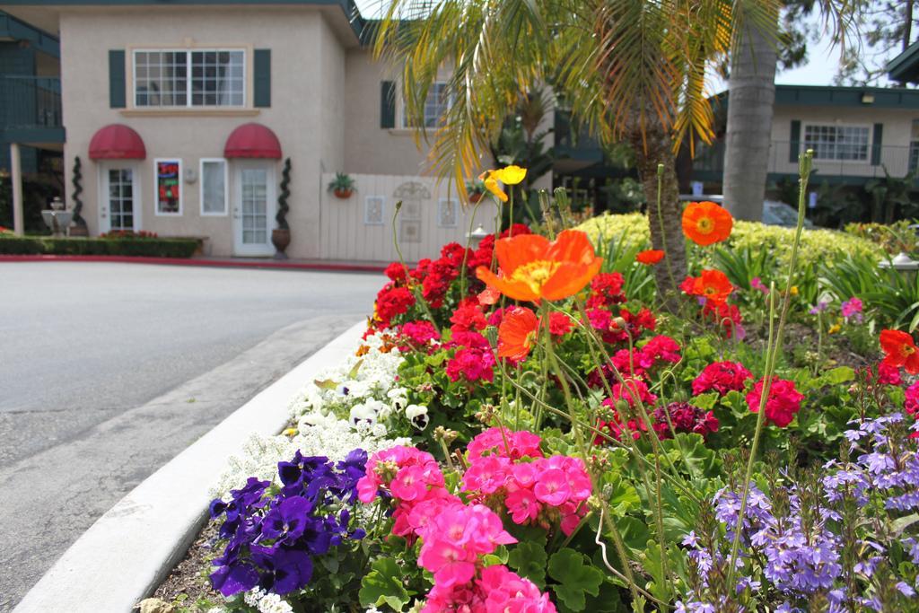Home2 Suites By Hilton Anaheim Resort Dış mekan fotoğraf